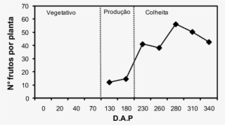 Índices De Produtividade Do Mamoeiro Em Função Dos - Papaya