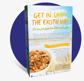 Nestle Fitness Breakfast Cereal Ingredients