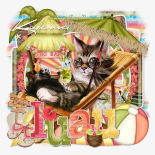 Kitty Luau - Domestic Short-haired Cat