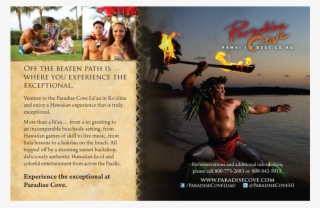 Team Vision Creates And Maintains Integrated Marketing