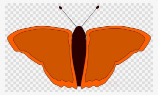 การ์ตูน ผีเสื้อ ภาพ โปร่งใส Clipart Butterfly Clip - Clip Art