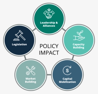 Leadership And Alliance Building - Economy