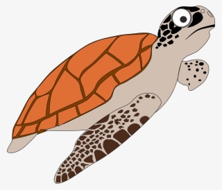 This Free Icons Png Design Of Cartoon Turtle 1