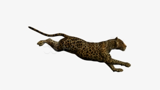 Running Leopard Png Photo - Leopardo Corriendo En Fondo Blanco