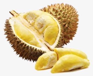 Durian Png