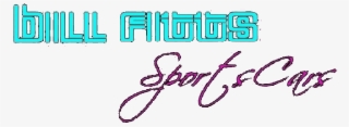 Bill Fitts Sports Cars - Car