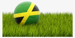 Football In Grass Png