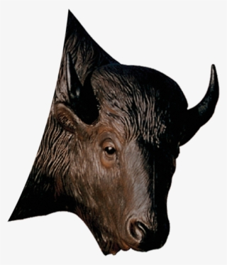 Bison Archery Target Replacement Head - Bison Head