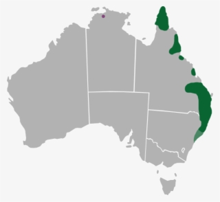 Protographium Leosthenes Range - Australian State And Territory Governments