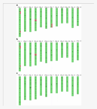 Ggt Of The Selected Lines - Colorfulness