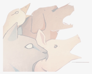 "l'élevage Animal Est Non Seulement Une Souffrance - Rhinoceros