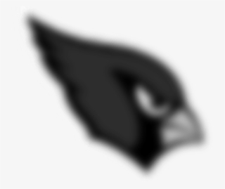 This Much I Do Know About The Jags - Whale