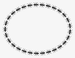 Ant Border Ellipse - Marriage Logo Clip Art