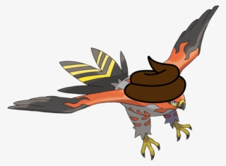 102kib, 600x600, Turdflame - Pokémon Feu Et Vol