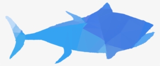 Dolphin Clipart Shark - Clip Art