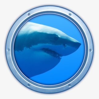 Sharks 3d On The Mac App Store - Wallpaper