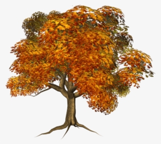 Free Png Large Fall Tree Png Images Transparent - Transparent Background Autumn Tree Clipart