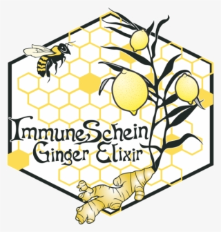 Immuneschein Ginger Elixirs - Immuneschein Ginger Elixirs & Teas