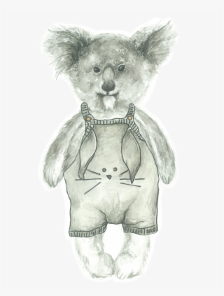 Home Main Koala Norm