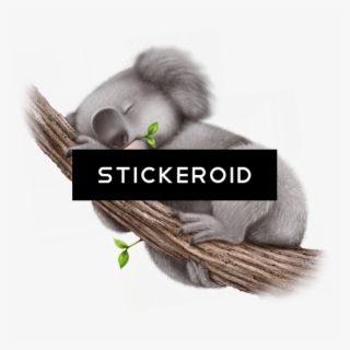 Koala - Duke Nukem Forever Box Art