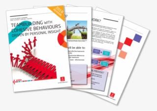 Team Building - Ant Family - Fun Facts You Need S