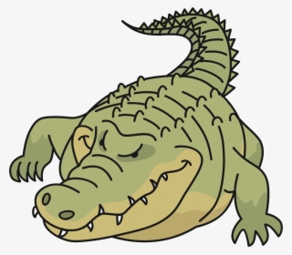 Medium Image - Crocodiles