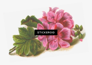 Lilac Flowers - Lined Music Paper With Flower Journal