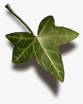 Read It - Maple Leaf