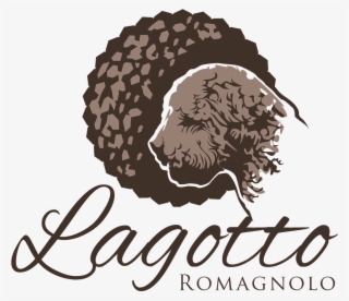 Breeder Of The Lagotto Romagnolo, The Italian Truffle - Coloring For Adults: Ladies, A Coloring Book