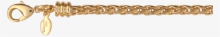 Corrente Grossa Entrelaçada Ce009745-8 - Chain