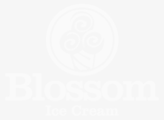 Blossom Ice Cream 196 Court Street Brooklyn, Ny 11021 - Jones Starting All Over Again