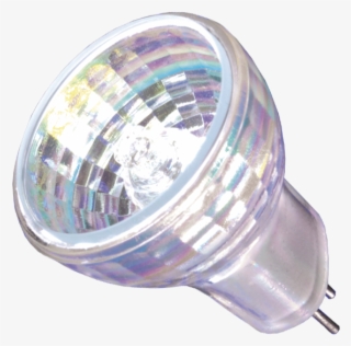 Mr8 - Hikari Mr8 Medium Angle 35w Halogen 12v Flood Bulb