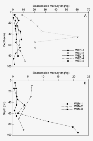 Variations In The Bioaccessible Mercury Concentrations - Diagram