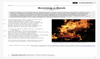 Burning A A Book - Flame