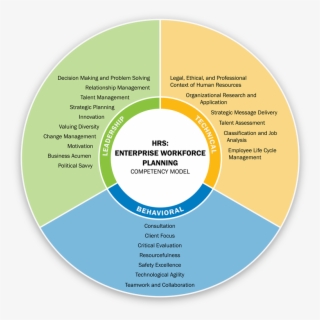 The Enterprise Workforce Planning Competency Model - Human Resource Strategies To Manage Workforce Diversity
