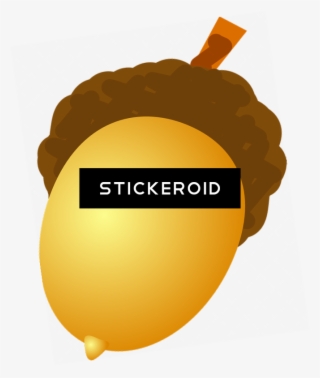 Acorn Nature - Illustration