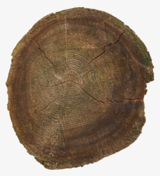 Materials - > - Nature - Tree Stump