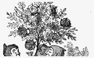 Jonathan Green, Author - Alice's Adventures In Wonderland Cards