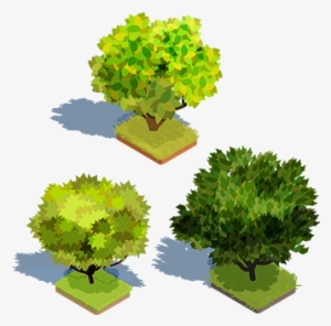 Set Of Vector 3d Isometric Trees With Shadow And A - Trees Isometric Vector Free