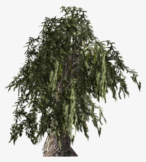 Honeymesquite-plant - Video Game