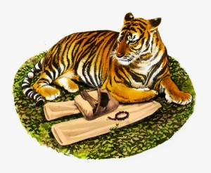 Watercolor Paper, Ink And Photoshop - Siberian Tiger