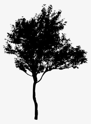 Free Download - Silhouette Of Trees Png
