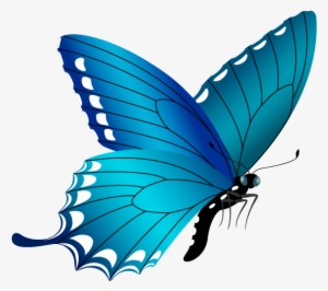 Blue Butterfly Png Image - Free Butterfly Clipart Png