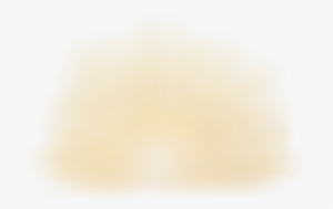 24 Mar 2009 - Macro Photography