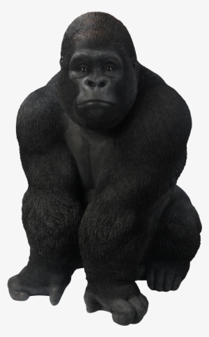Gorilla Png - Vivid Arts Large Gorilla