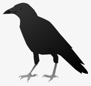 Png Free Stock - Crow Hd Image Clipart