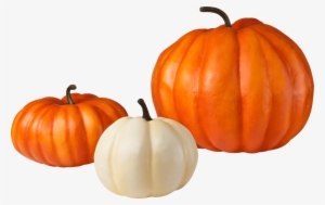 Free Png Pumpkin Png Images Transparent - Pumpkin Transparent Background
