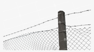 Barbed Wire Fence - Fence
