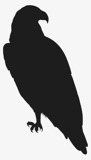 Silhouette Eagle Png