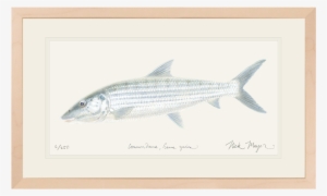 Bonefish Original Watercolor Painting - Watercolor Painting